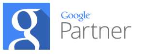 Google Partner's Badge