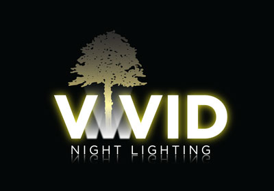 Vivid Night Lighting