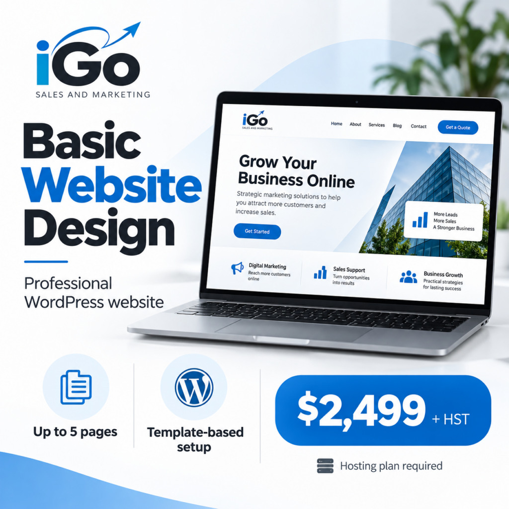 basic website design service