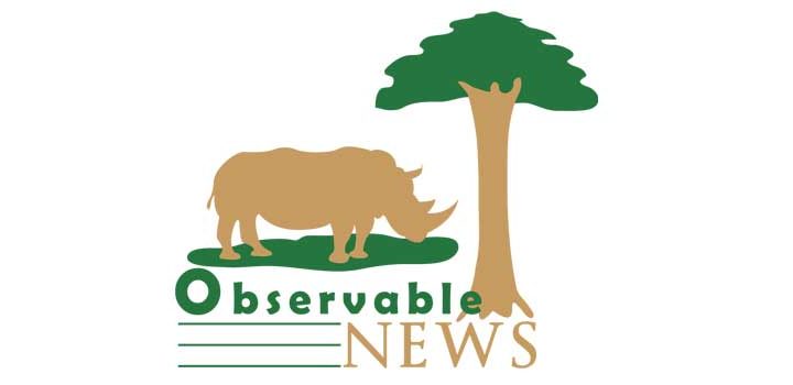 Observable News